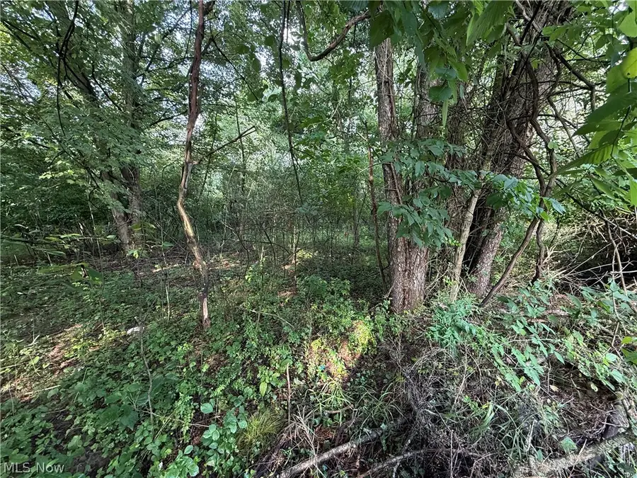 15 Cayuse Trail, Malvern, OH 44644 - #2