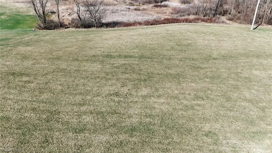 V/L Granger Road, Medina, OH 44256 - #3