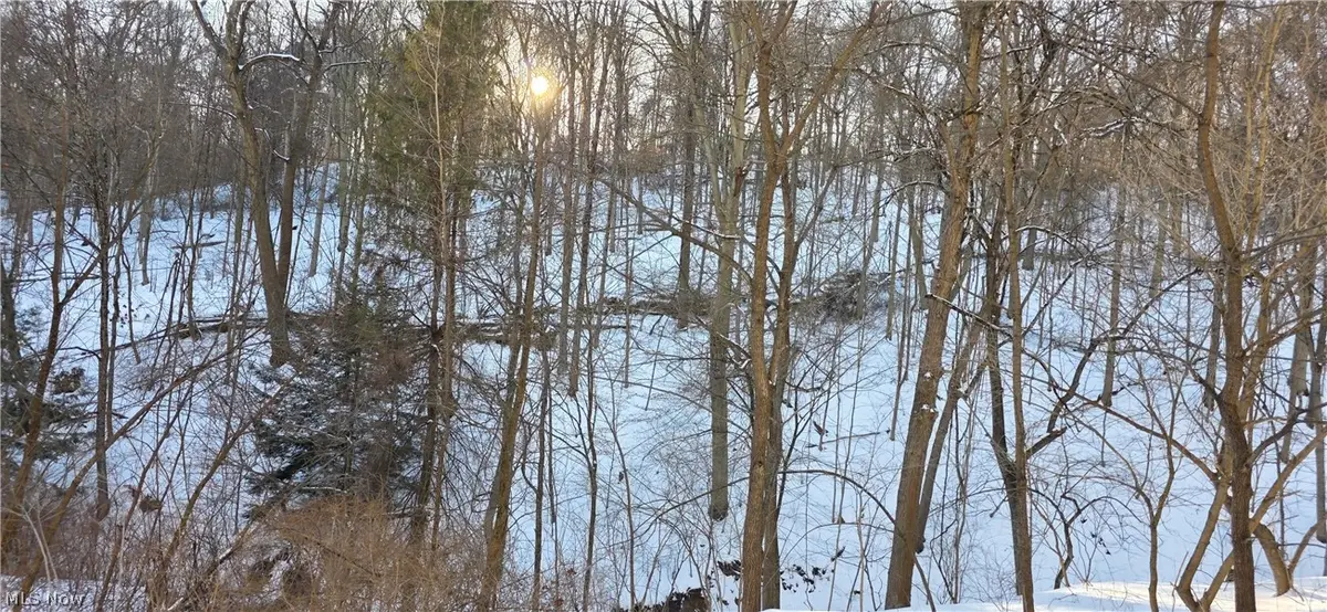 71480 Mercer Road, Martins Ferry, OH 43935 - #1