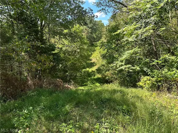 8292 State Route 60, Lowell, OH 45744