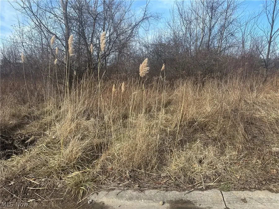 Charles Drive, Lorain, OH 44053 - #2