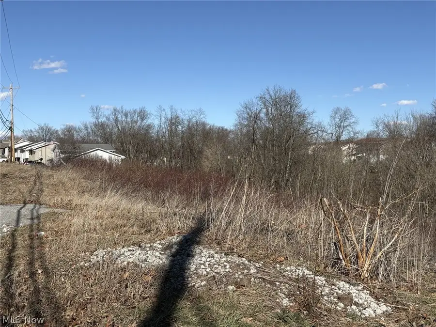 Bantam Ridge, Wintersville, OH 43953 - #3