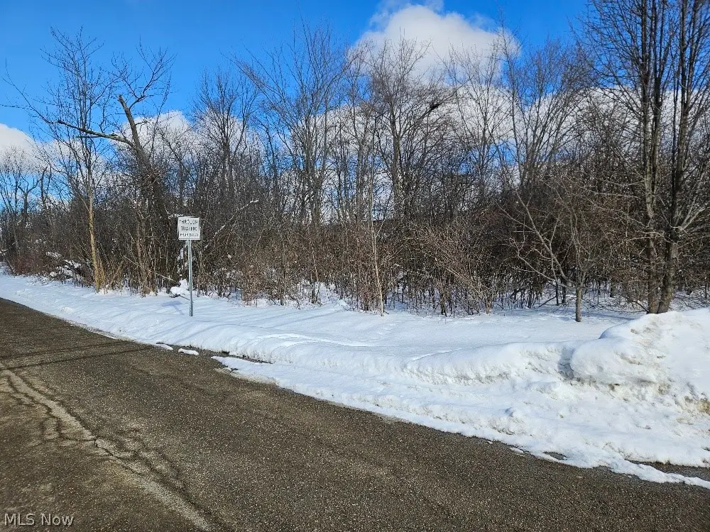Miles Road, Cleveland, OH 44128 - #1