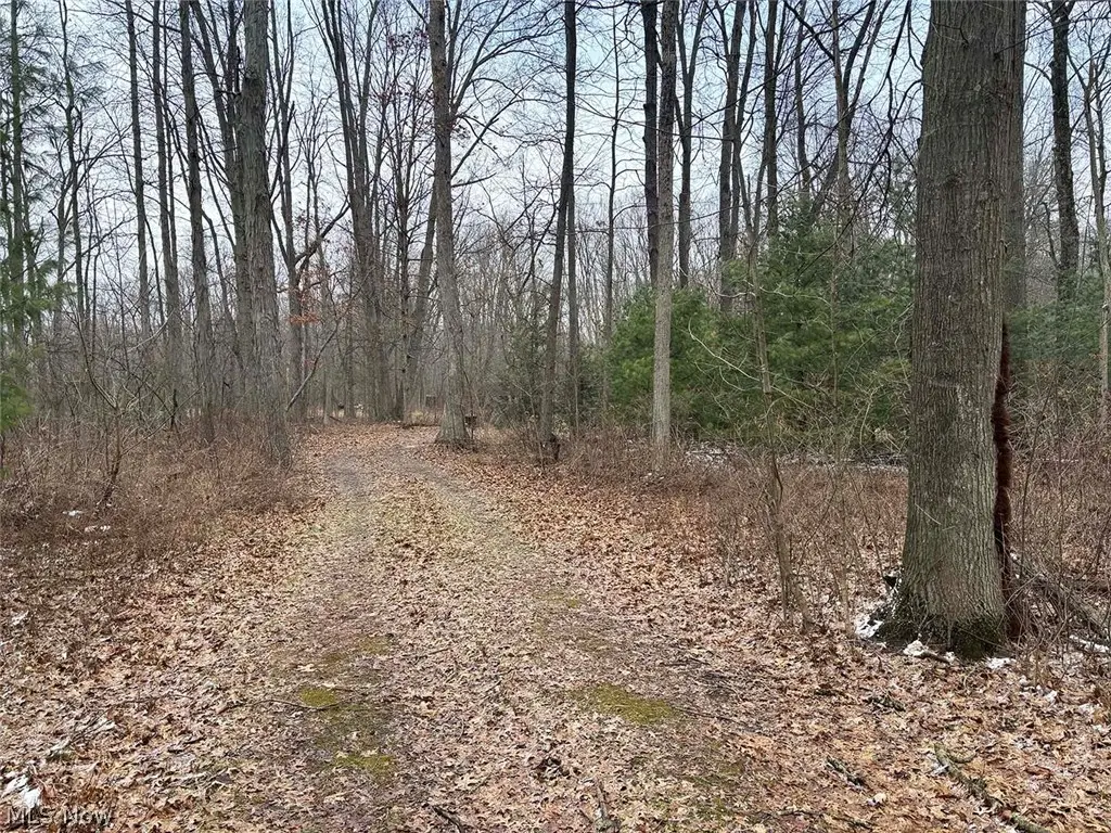 Greenbower Ne Street, Alliance, OH 44601 - #1