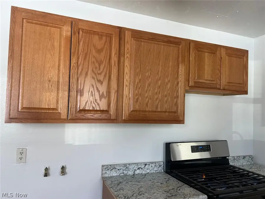 18079 Blandford Road, Cleveland, OH 44121 - #3