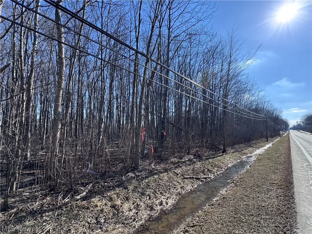 V/L 5 Painesville Warren Road, Leroy, OH 44077 - #1