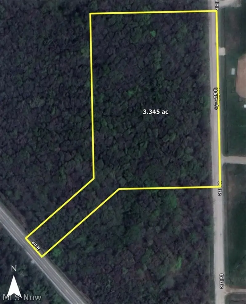 V/L 5 Painesville Warren Road, Leroy, OH 44077 - #2