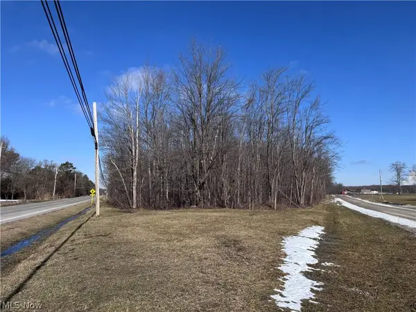 V/L 4 Painesville Warren Road, Leroy, OH 44077