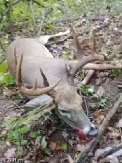 3800 E Darlington Road, Zanesville, OH 43701 - #3