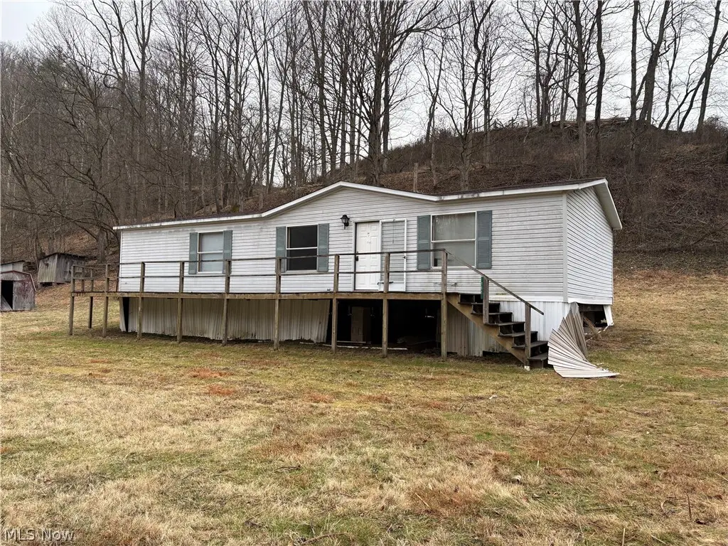 161 Cow Lane, Arnoldsburg, WV 25234 - #1