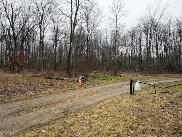 Golf Course Drive, Norton, OH 44203 - #1