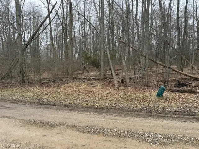 Golf Course Drive, Norton, OH 44203 - #2