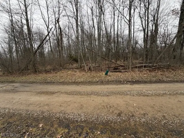 Golf Course Drive, Norton, OH 44203 - #3