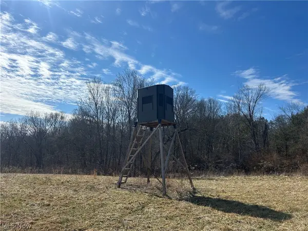 Ridgeview Lane, Blue Rock, OH 43727