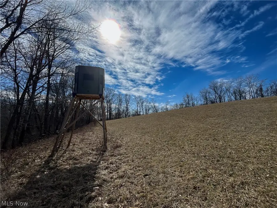 Ridgeview Lane, Blue Rock, OH 43727 - #2