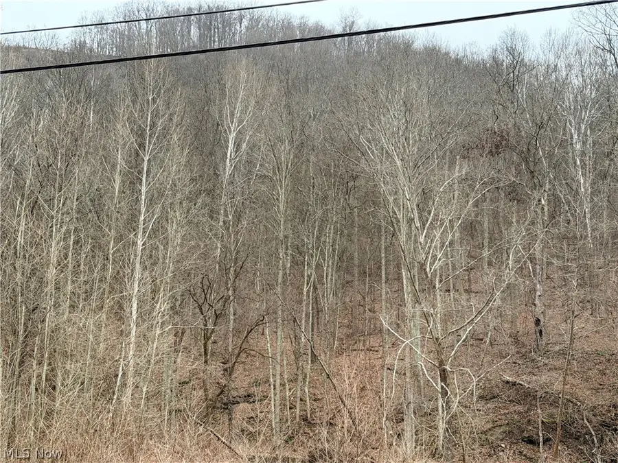 Mountaineer Highway, New Martinsville, WV 26155 - #2