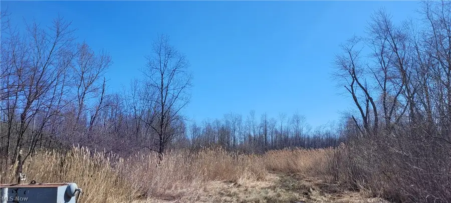 Clay Road, Denmark, OH 44032 - #3