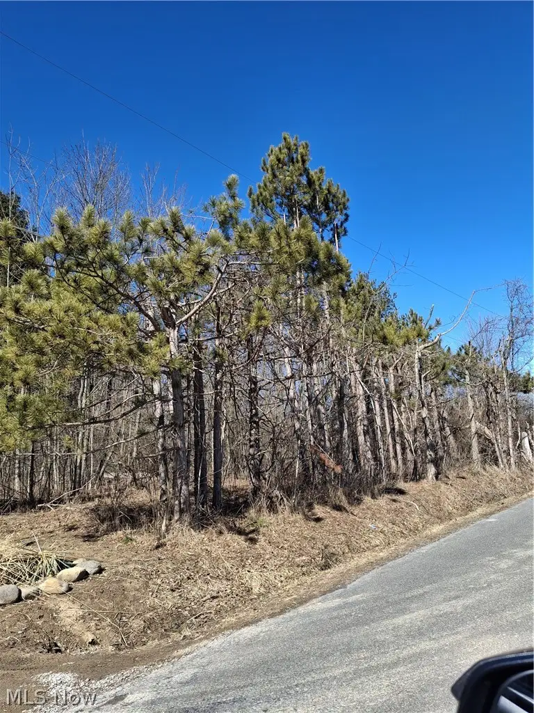 Ballash Road, Medina, OH 44256 - #3