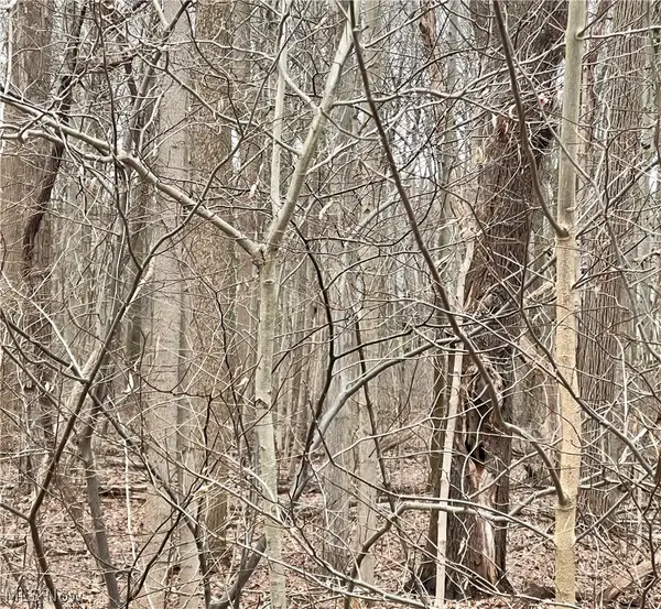 Maple Avenue, Boardman, OH 44512