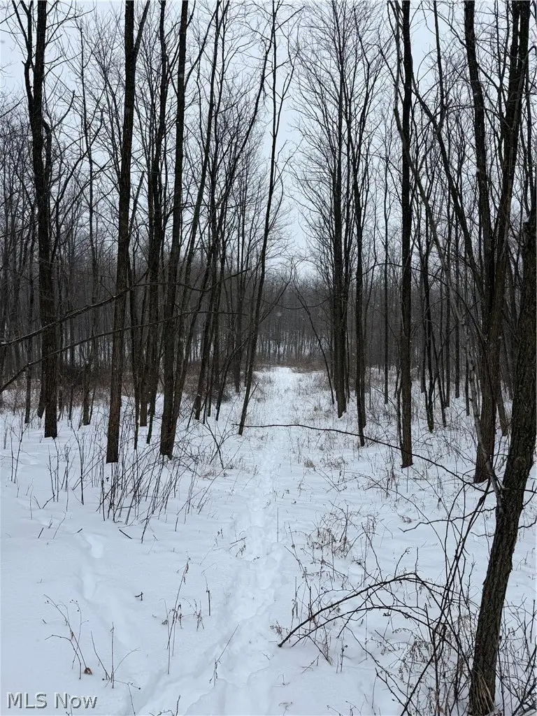 0 State Route 30 Street, Mansfield, OH 44907 - #3