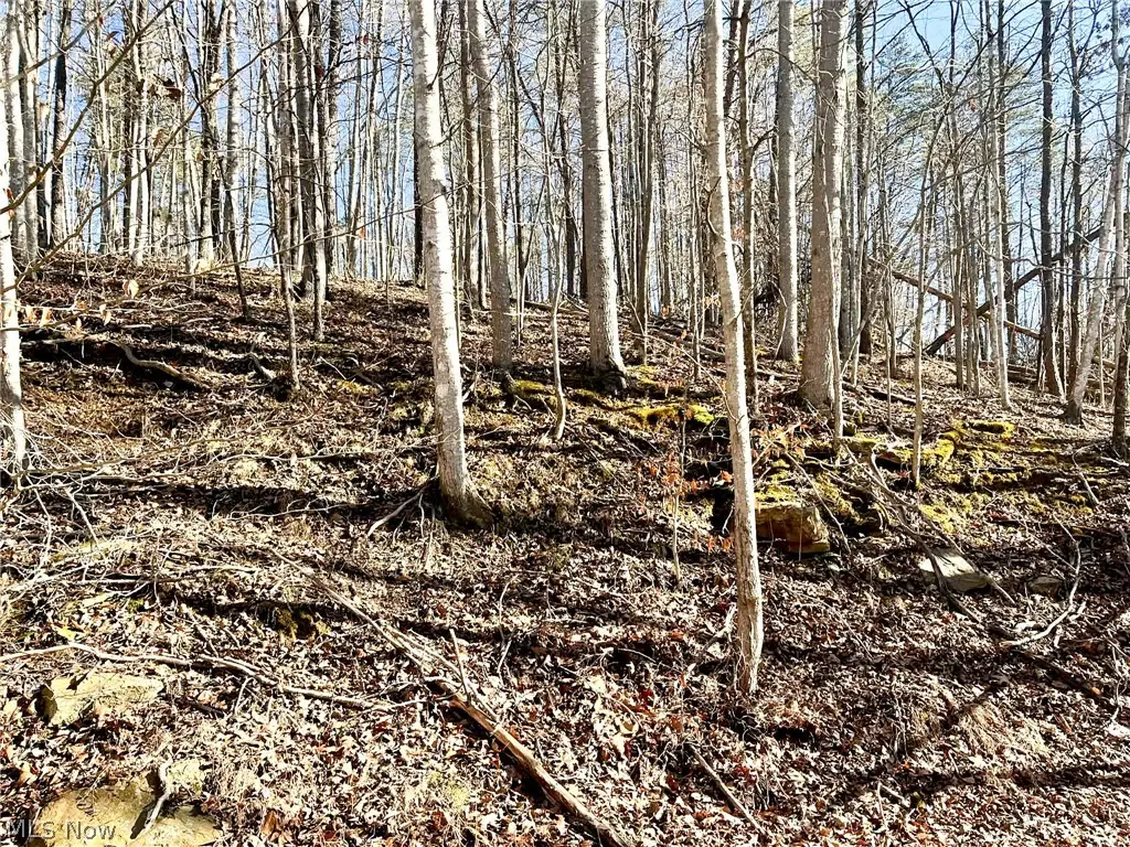 Rd 34, Ripley, WV 25271 - #1