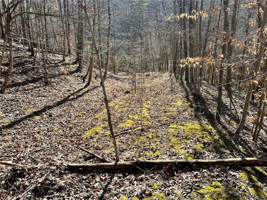 Rd 34, Ripley, WV 25271 - #2