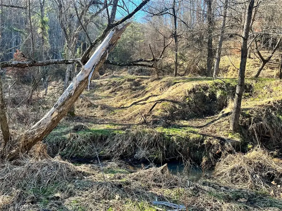 Rd 34, Ripley, WV 25271 - #3