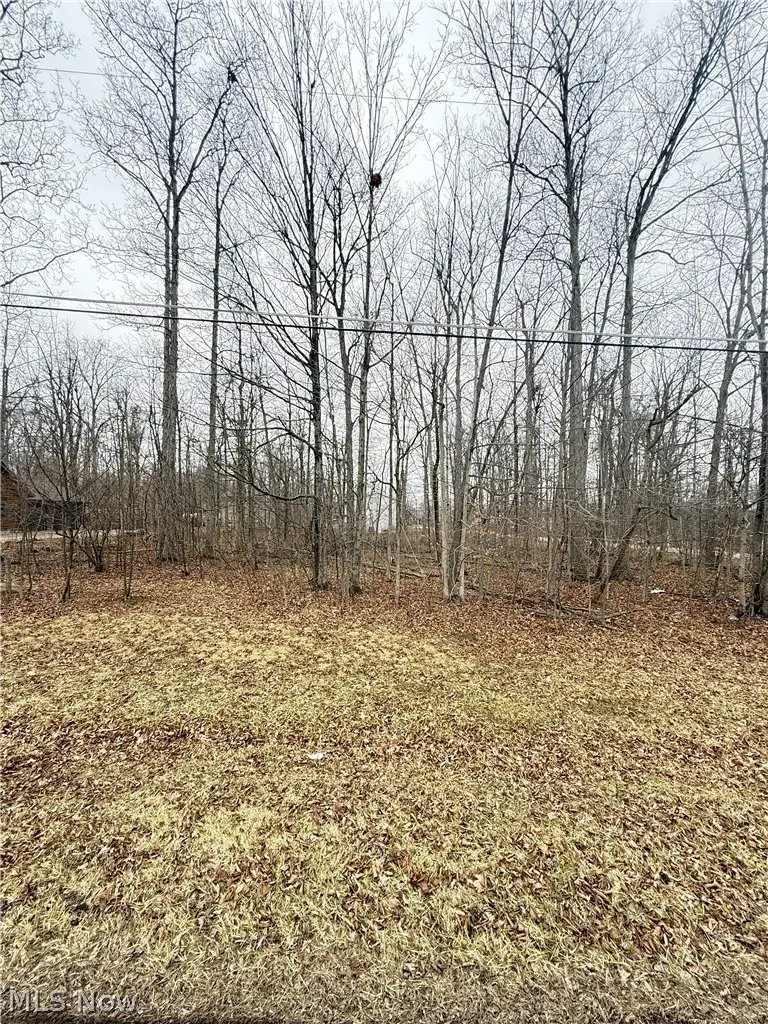 5038 Maderia Drive, West Salem, OH 44287 - #3