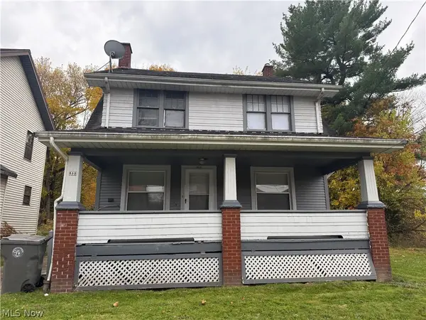 555 W Evergreen Avenue, Youngstown, OH 44511