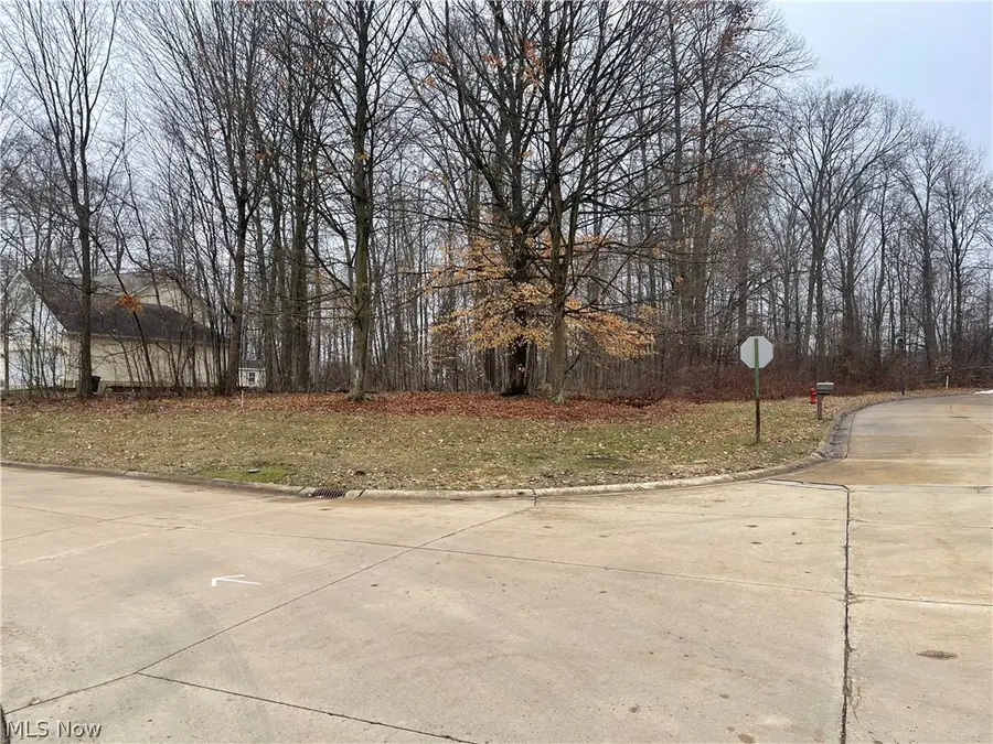 Stony Brook Lane, Wakeman, OH 44889 - #2