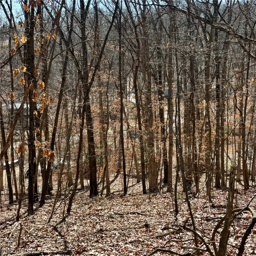 48065 S Yuma Cove, Negley, OH 44441 - #2