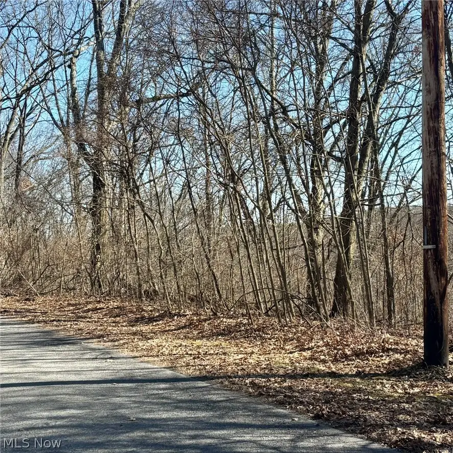 48065 S Yuma Cove, Negley, OH 44441 - #3