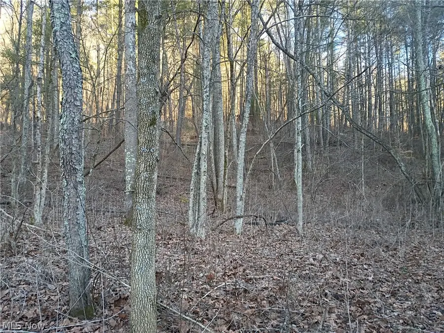 Mountaineer Highway, Littleton, WV 26581 - #3