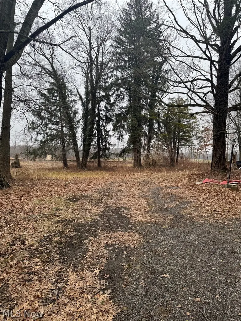 14665 W Akron Canfield Road, Berlin Center, OH 44401 - #2