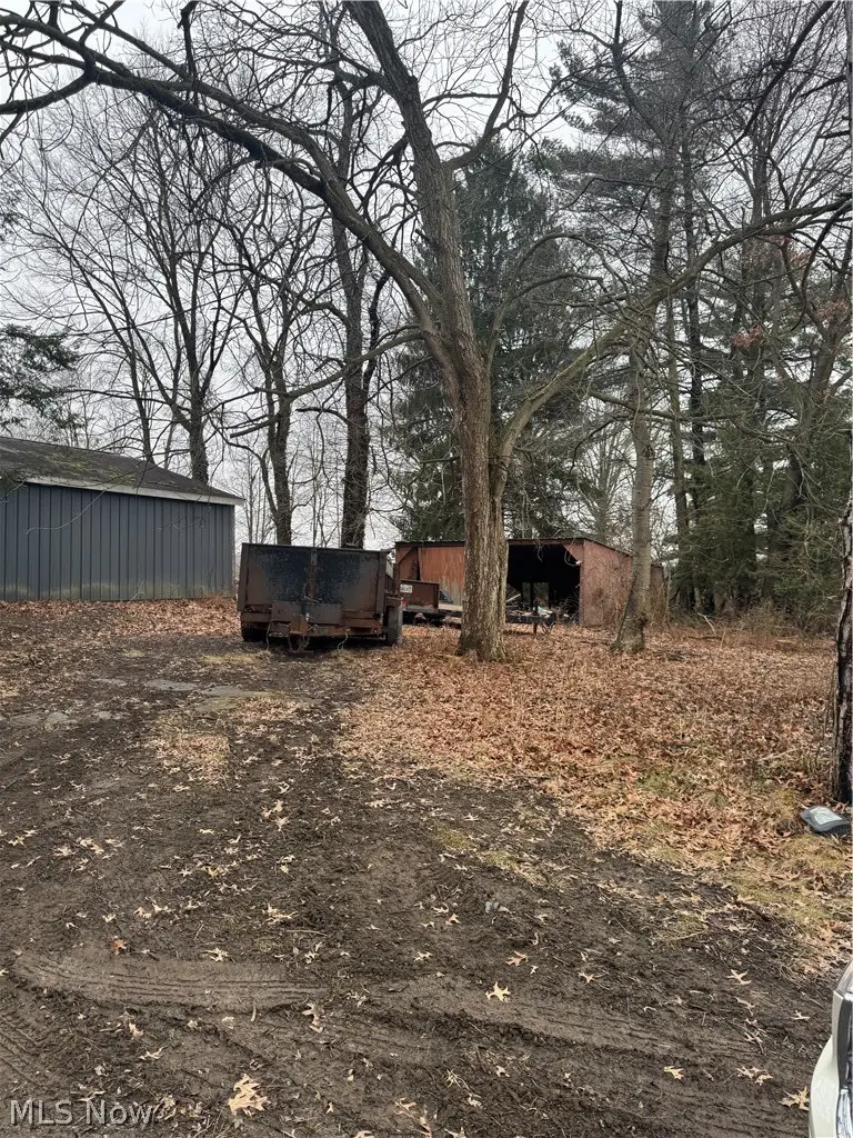 14665 W Akron Canfield Road, Berlin Center, OH 44401 - #3