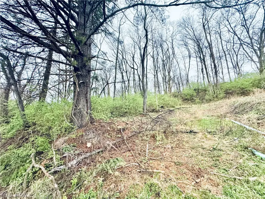 Saylor Road, Morgantown, WV 26501 - #2