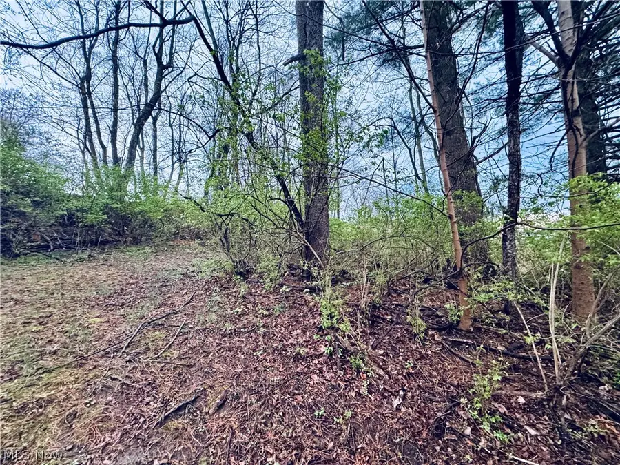 Saylor Road, Morgantown, WV 26501 - #3