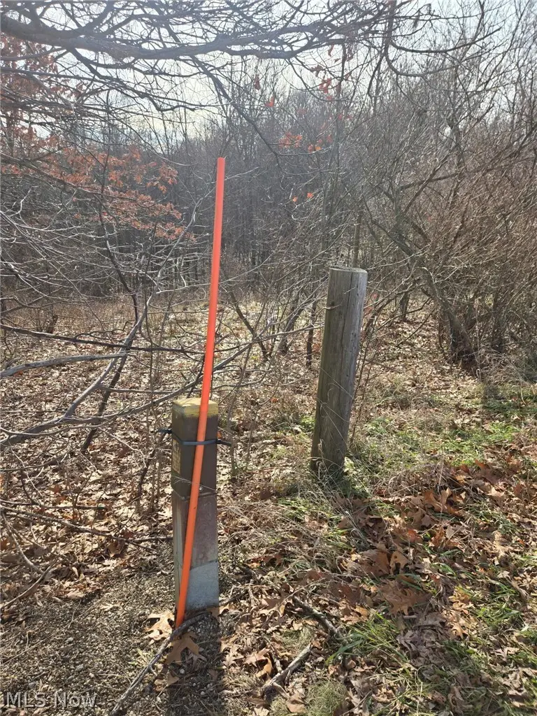 9284 Briar Road, Magnolia, OH 44643 - #3