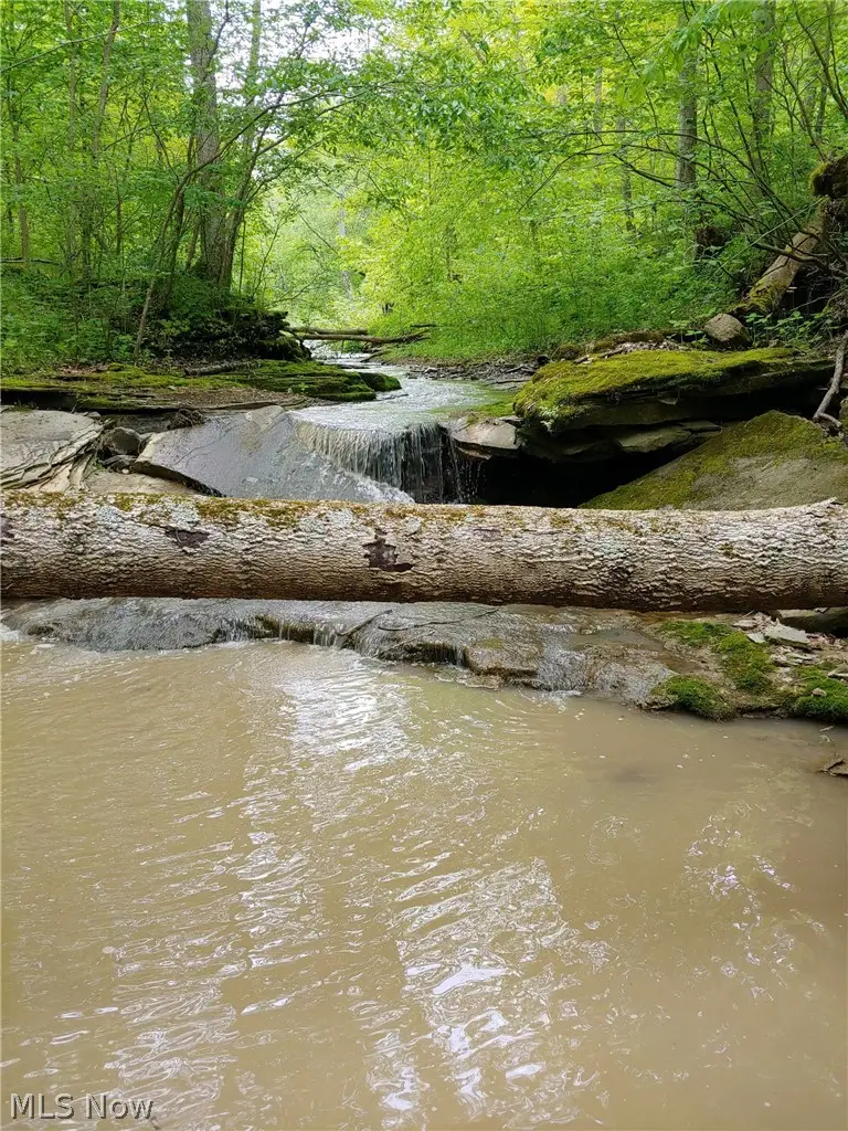 00 Pipe Creek Road, Mead, OH 43947 - #3