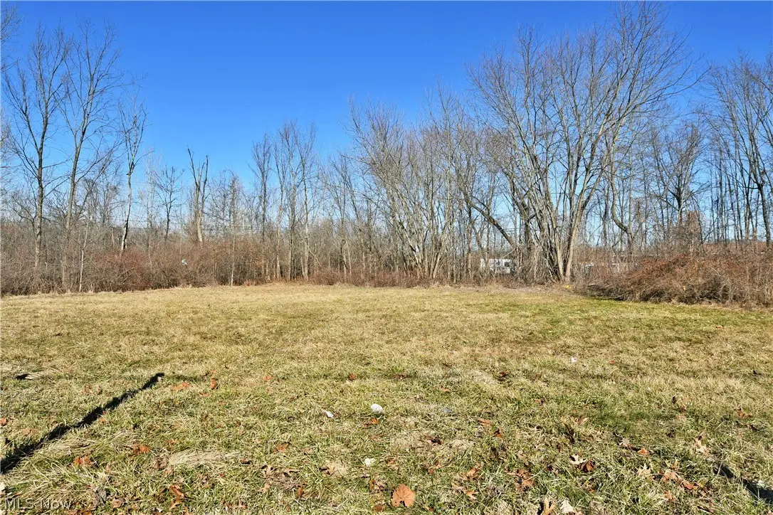 Niles Road, Warren, OH 44484 - #1