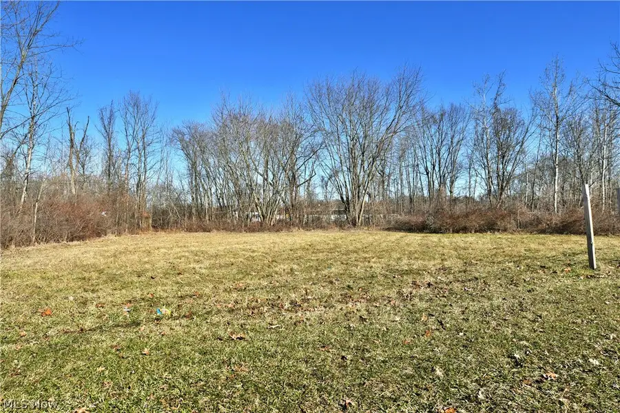 Niles Road, Warren, OH 44484 - #2