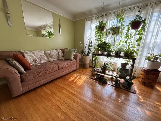 1129 Avondale, South Euclid, OH 44121 - #2