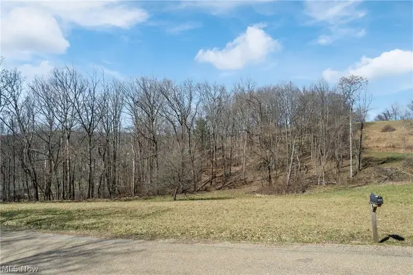 Boy Scout Ne Road, Dover, OH 44622