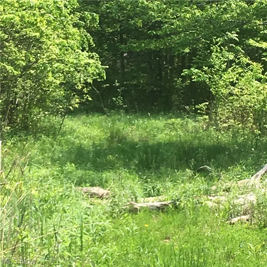 0 Fowlers Mill Road, Chardon, OH 44024 - #2