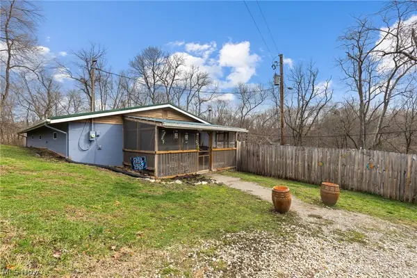 38340 Lees Run Road, Cadiz, OH 43907