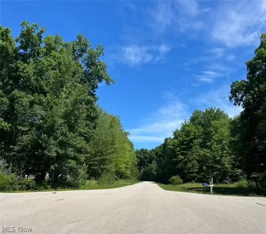 14065 Kimpton Trail, Hiram, OH 44234 - #3