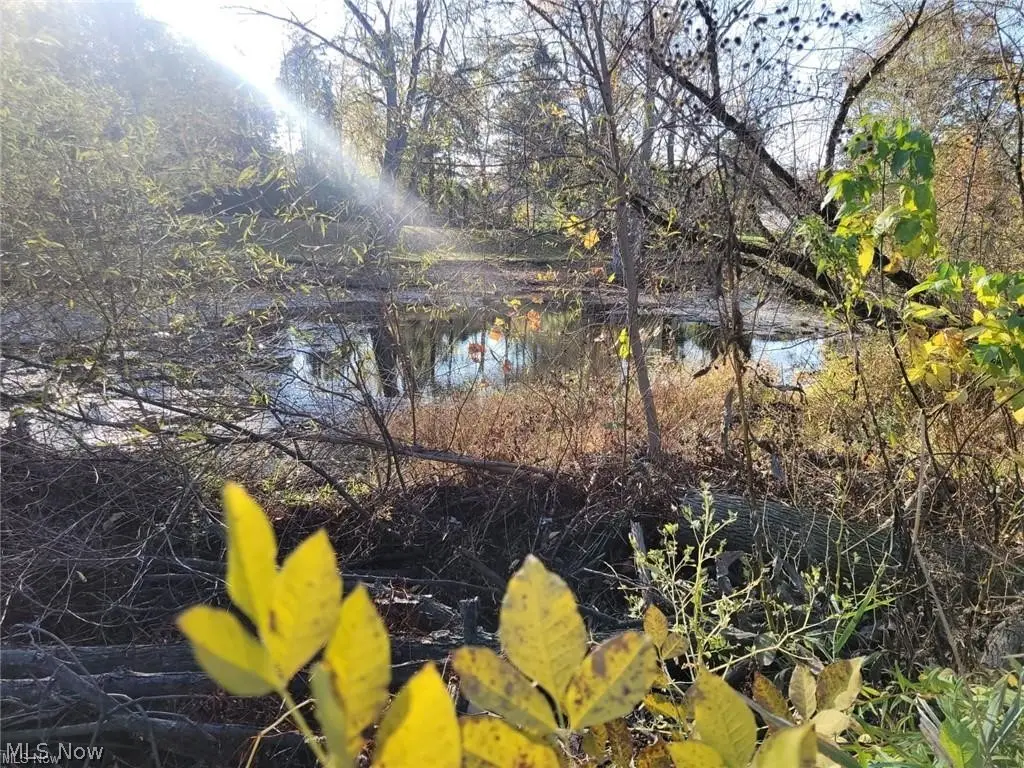 V/l East Avenue, Elyria, OH 44035 - #1