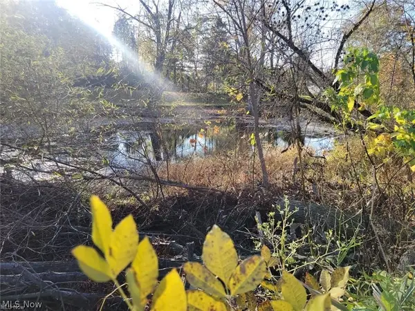 V/l East Avenue, Elyria, OH 44035