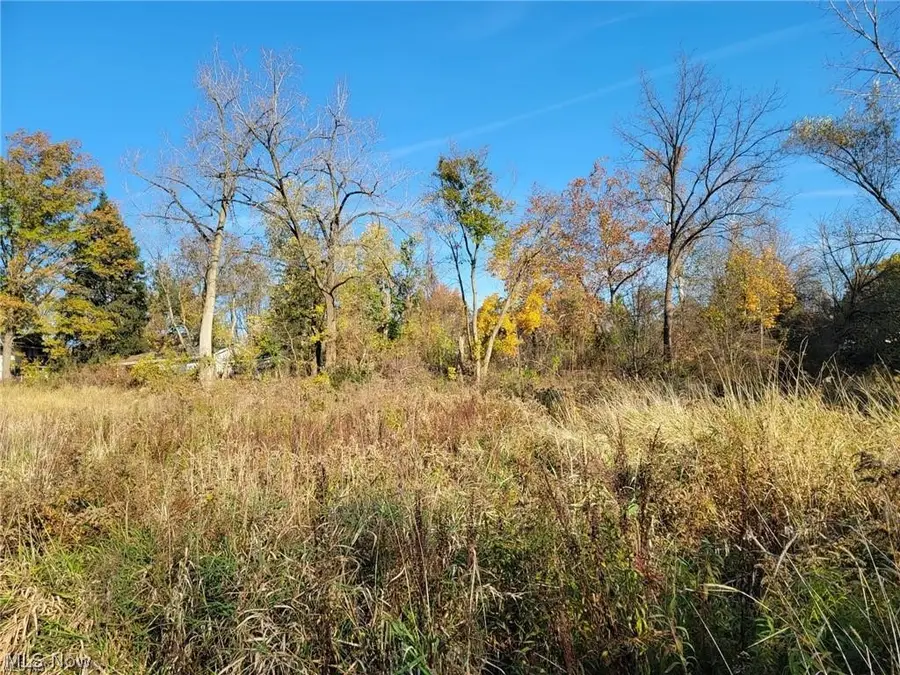 V/l East Avenue, Elyria, OH 44035 - #2