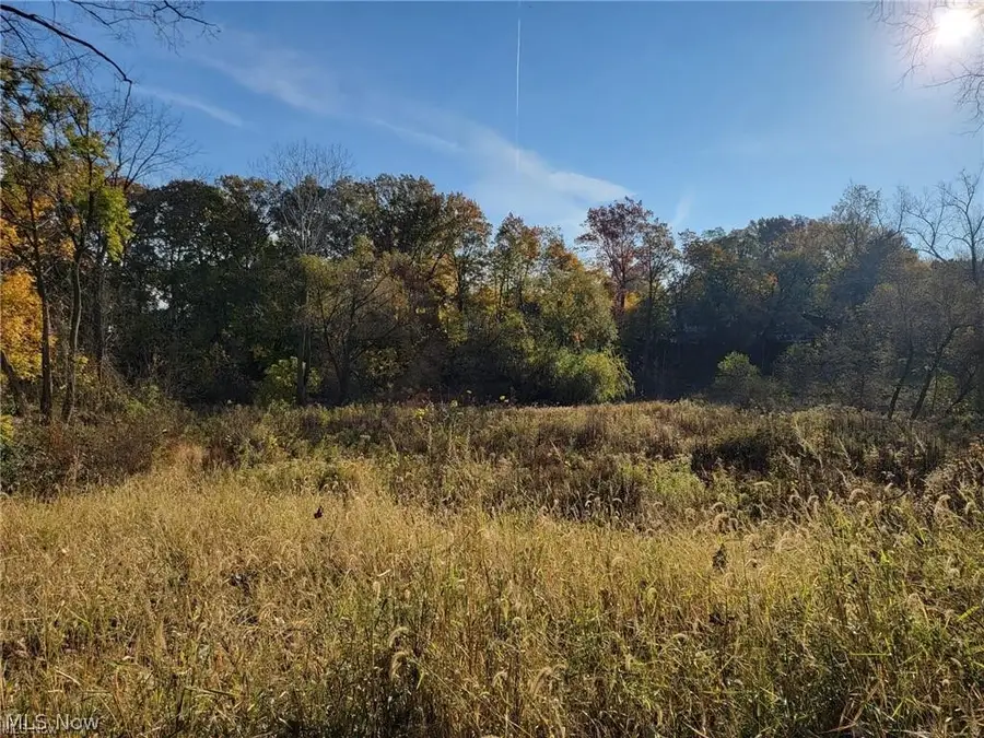 V/l East Avenue, Elyria, OH 44035 - #3